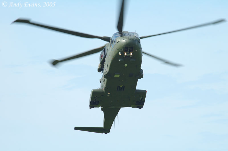 [Image: heli11.jpg]